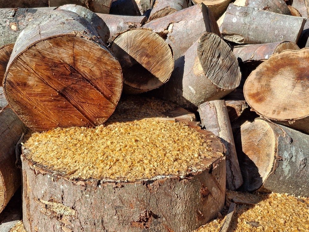 Replacement Teeth for Stump Grinders: The Two Ways the Order Goes Wrong